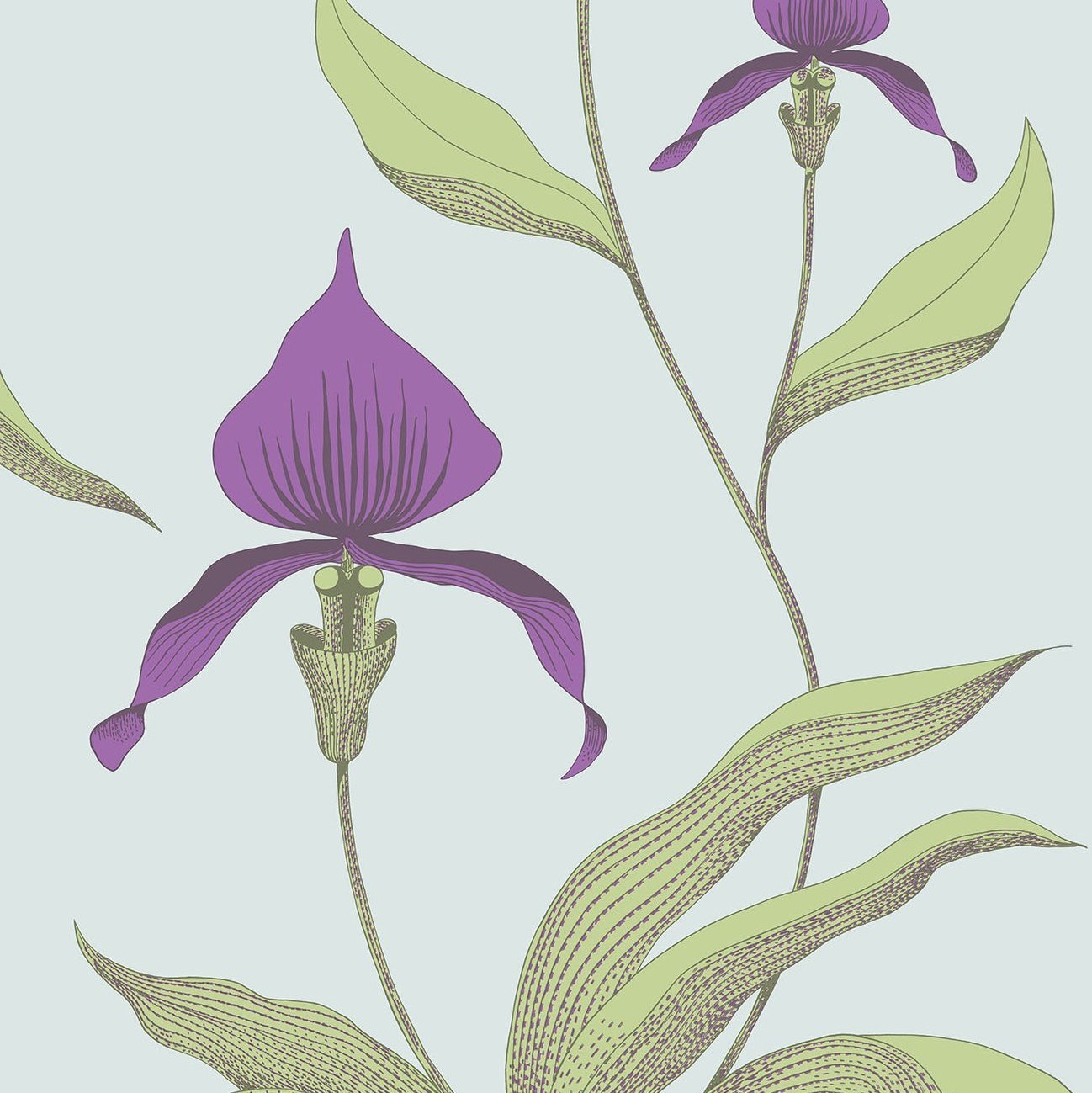 Tapete Orchid