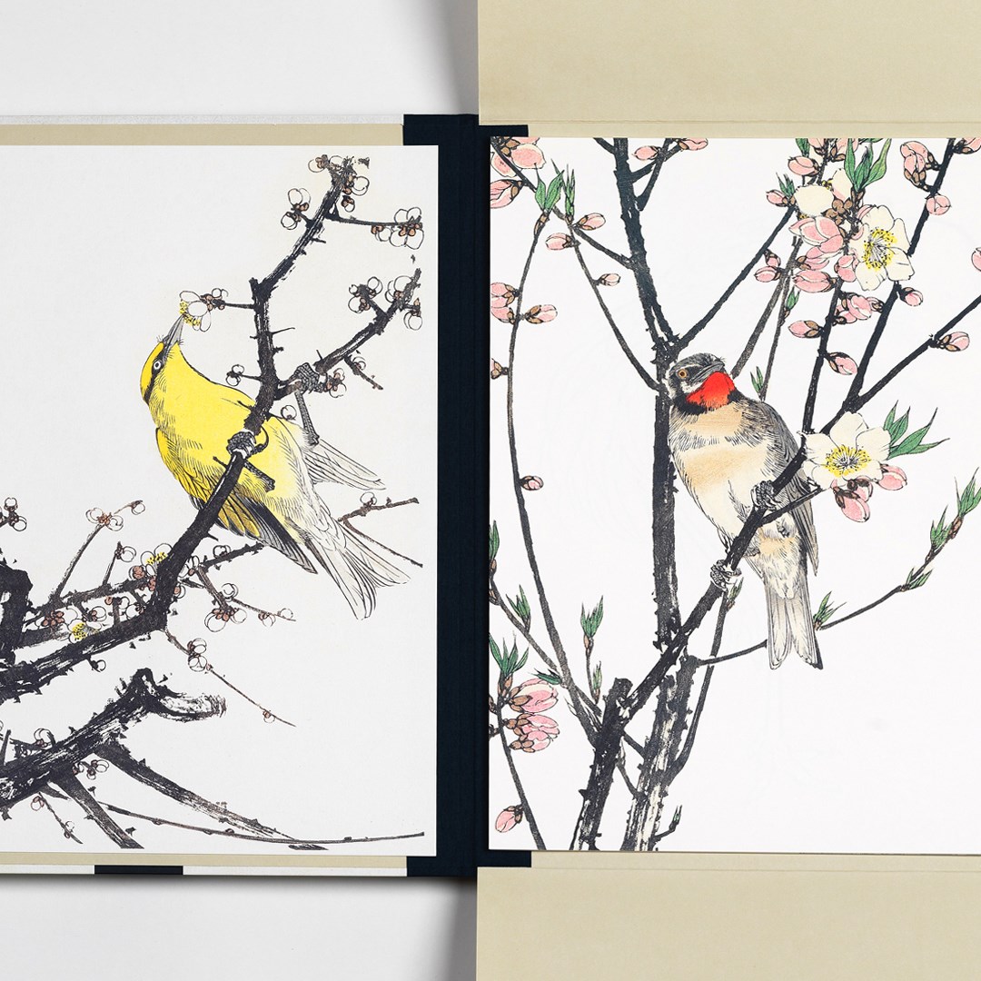 Japanische Vogeldrucke
