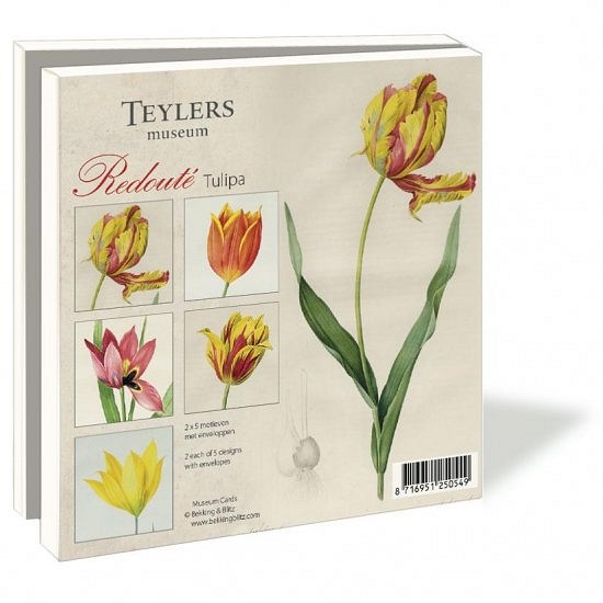 Karten Tulips
